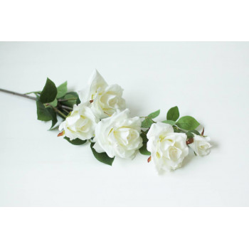 Гілка з білими трояндами