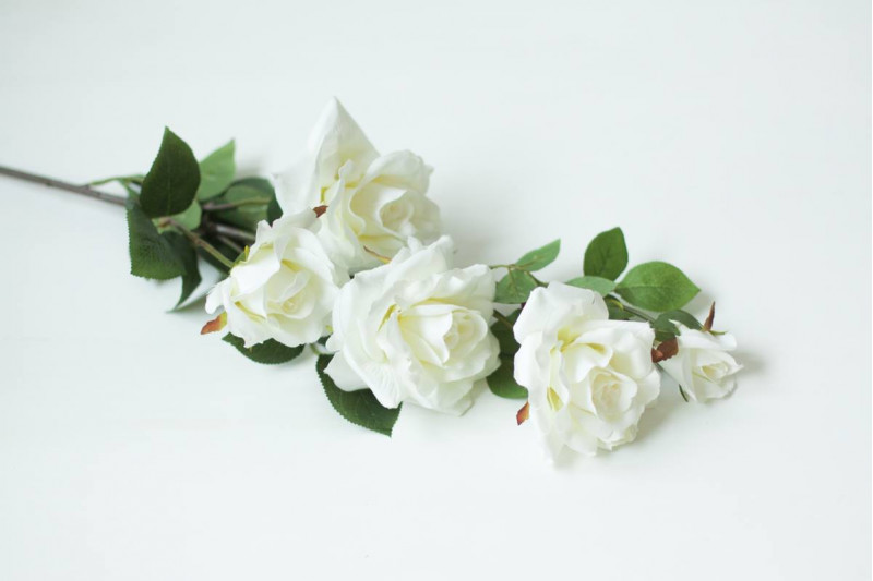 Гілка з білими трояндами